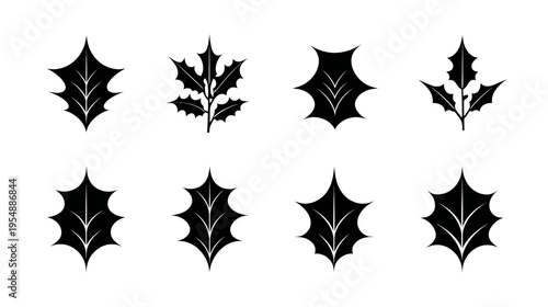 Set of various black holly leaf silhouette vector icons. Christmas winter holiday foliage graphics for design elements.