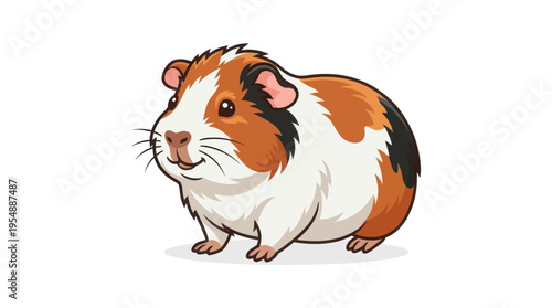 guinea pig isolated on white