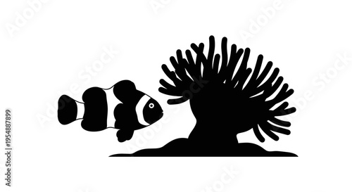 Black silhouette fish anemone.