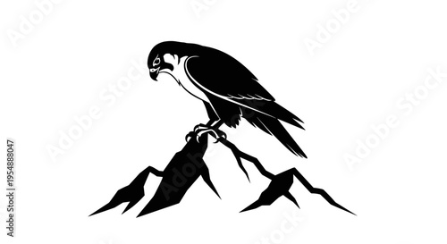 Black silhouette of a falcon 1.