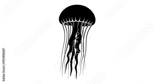 Black silhouette of jellyfish.