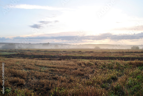 sunrise over the field