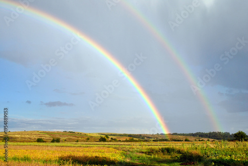rainbow over green field