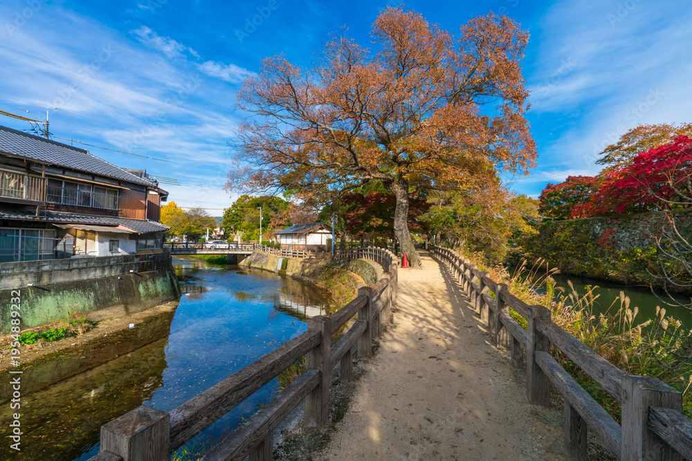 Fototapeta premium Senhime pathway near Senba river with momiji red leaves in autumn season. Himeji. Japan