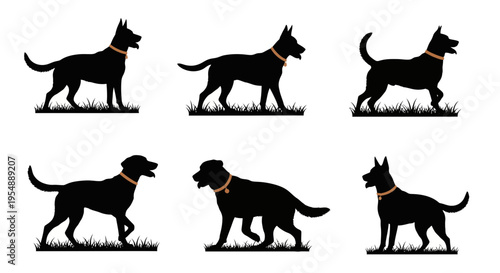 Set of Black Dog Silhouettes with Collars on Grass