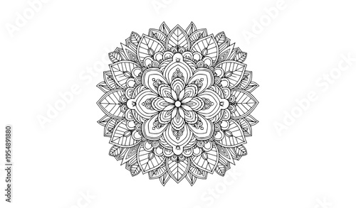 Botanical mandala coloring page for adults with floral pattern detailed line art vector illustration