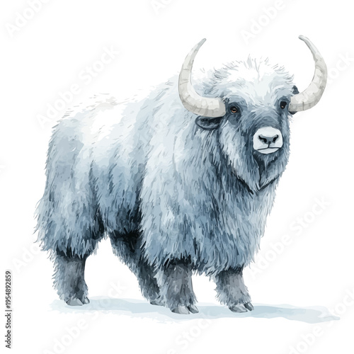 Musk Ox, watercolor vector, isolated on a white background.
