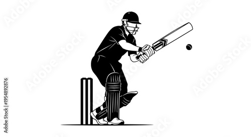 Cricket Batsman Hitting Ball Silhouette Illustration