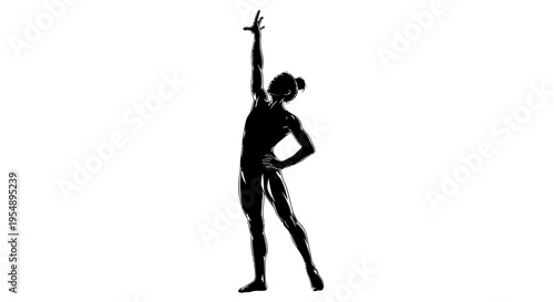 Black Silhouette of a Female Dancer Posing Gracefully