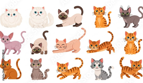 Cute cartoon cat breeds vector set with Persian Siamese Sphynx Bengal and tabby in playful poses