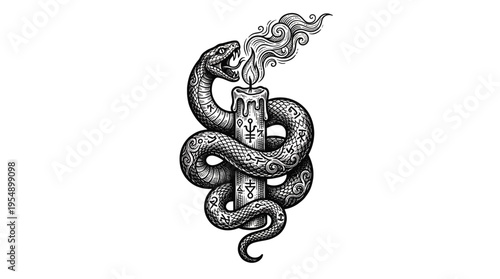 Symmetrical snakes entwined around a glowing torch and candle in a stark black-and-white illustration viewed head-on on a plain white canvas
