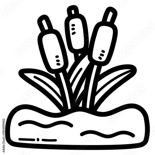 reeds illustration