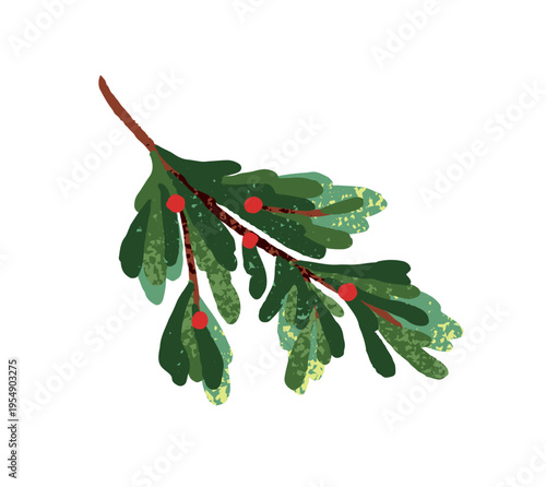 Branch of mistletoe or holly for Christmas decoration. Red holy berries on twig with green leaves for Xmas decor. Winter holiday ornament. Flat isolated watercolour vector illustration on white