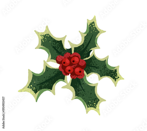 Holly branch in watercolor style. Christmas mistletoe. Xmas red holy berry. Winter holiday decoration. Traditional twig with snow on leaves. Flat isolated hand drawn vector illustration on white