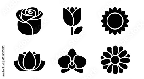 Set of Black Flower Icons: Rose, Tulip, Sun, Lotus, Orchid, Daisy
