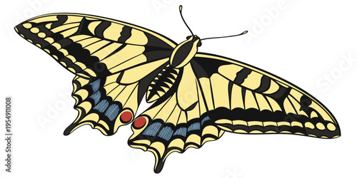 "A professional, ultra high-resolution 3D photorealistic render of an Old World swallowtail butterfly (Papilio machaon), isolated on a solid white background. The insect is shown in a side profile wit