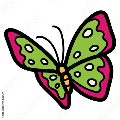 butterfly illustration