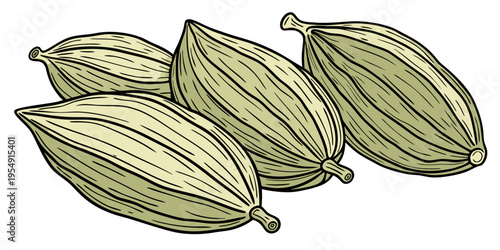 "A professional, ultra high-resolution photorealistic render of six whole green cardamom pods (Elettaria cardamomum), isolated on a solid white background. The pods are arranged in a clean row with tw