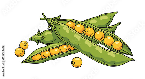 Appetizing illustration of yellow split peas, with several open pods revealing the vibrant yellow peas, and loose peas scattered around, on a white background.