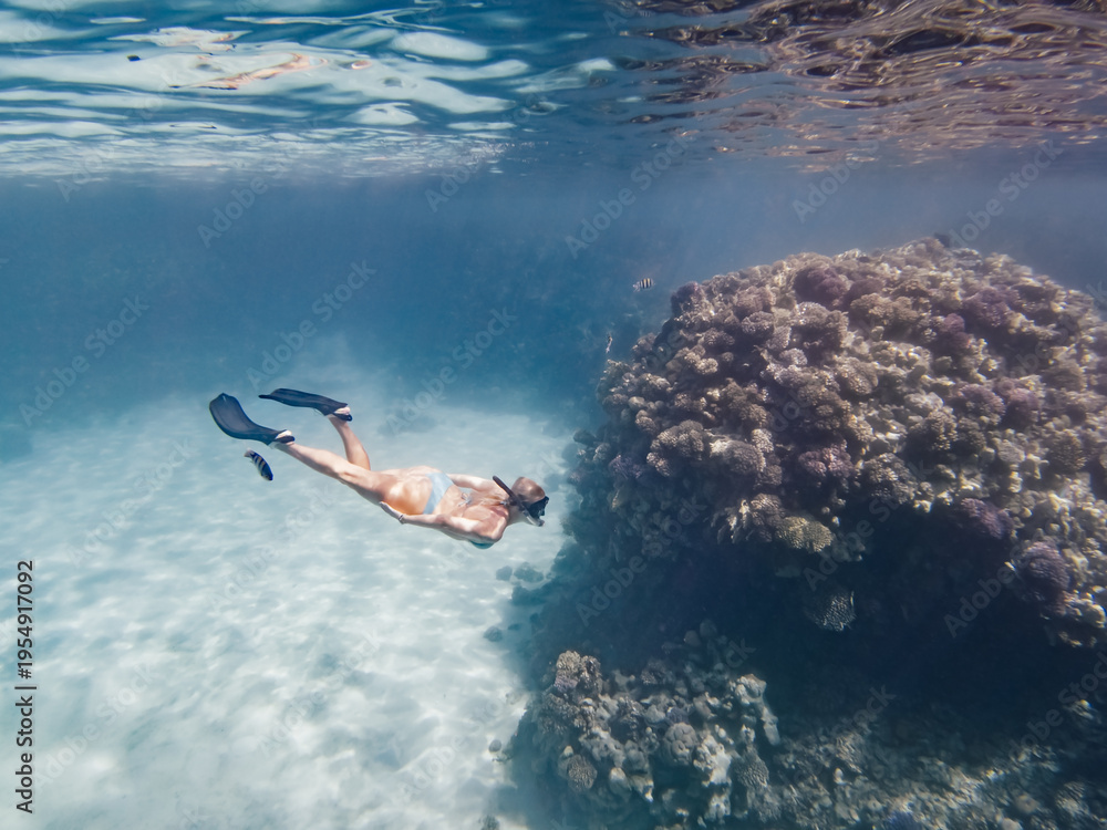 Obraz premium Underwater photo of free diver swimming past large coral reef in clear blue water, Sharm El-Sheikh, Egypt.