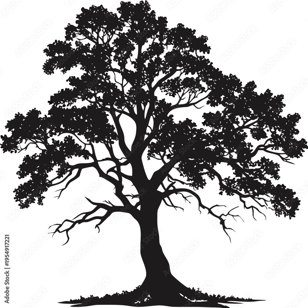 Obraz premium Oak Tree Silhouette Vector Icon Detailed Leaves and Roots Isolated on White