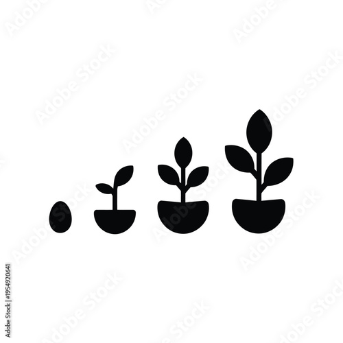 Plant growth stages depicted in a simple black and white illustration