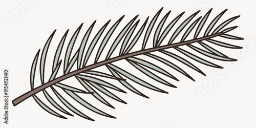 Single brown branch with long thin leaves white background nature