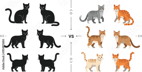 Cat silhouettes versus colored breeds set, domestic feline comparison collection with different poses and fur patterns vector illustration