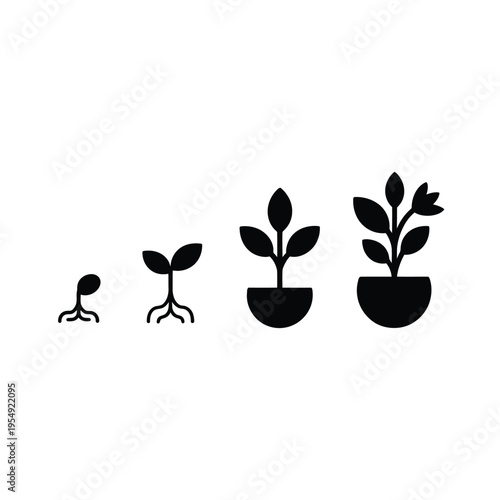 Plant growth stages illustrated with simple black icons on white background