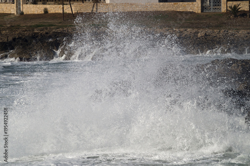 Wallpaper Mural mare mosso Torontodigital.ca