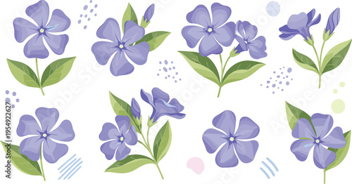 Blue flowers botanical set with leaves, elegant blossom elements collection for spring floral design and decoration vector illustration pack