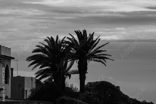 Wallpaper Mural tramonto Torontodigital.ca