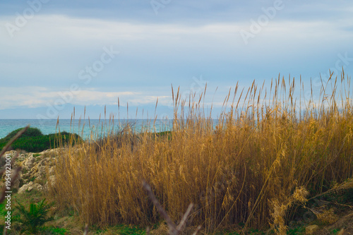 Wallpaper Mural paesaggio Torontodigital.ca