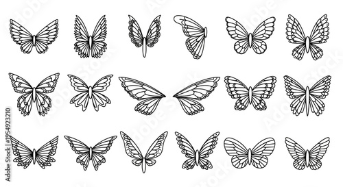 Collection of Delicate Butterfly Wing Illustrations for Artistic Projects and Designs