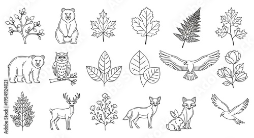 Collection of Hand-Drawn Illustrations Featuring Various Wildlife Animals and Botanical Leaf Designs