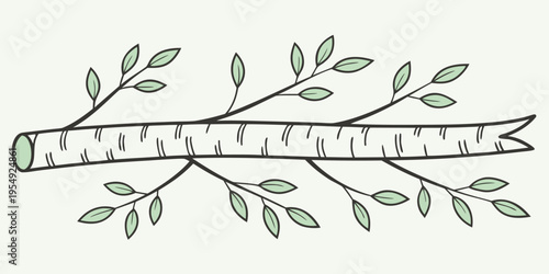 Birch tree branch with green leaves on light green background