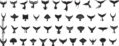 Different fish tail vector silhouettes mega collection, different fish tails, for marine life designs and logos. on white background.