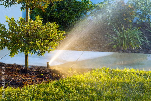 Valokuva Lawn grass watering with automated sprinkler irrigation system