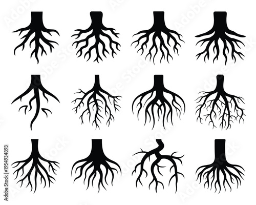 Bold tree root collection, strong foundation symbol for community event poster, genealogy project, heritage festival branding, rustic nature vector illustration
