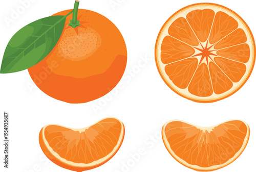 Orange fruit set with whole citrus slice and segments fresh juicy vitamin rich food illustration collection