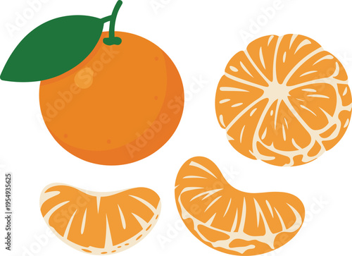 Orange fruit collection with whole peeled and slices citrus fresh juicy food illustration set