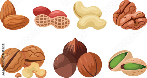 Nuts collection with almond peanut cashew walnut hazelnut and pistachio healthy snack food illustration set