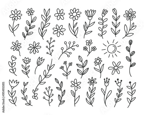 Wildflower line art set, garden fair poster elements, earth day design, rustic botanical vector, herbs leaves buds, greeting card graphic