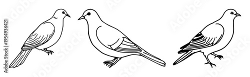 Dove set with simple line art design featuring peace, bird, animal with nature and freedom