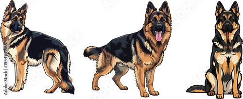 King Shepherd dog standing looking back panting sitting pose set