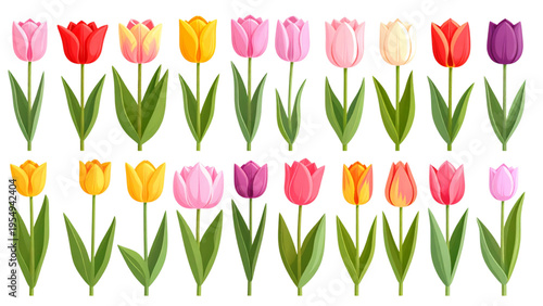 Mixed tulip flower bundle with green stems, side view, flat colorful vector illustration of spring blooms