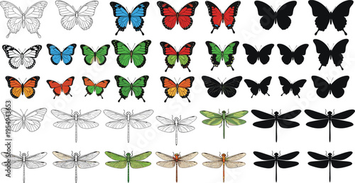 Butterfly dragonfly silhouette illustration set, colorful insect artwork, entomology biodiversity vector design concept