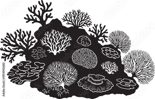Coral reef illustration with various corals and sea fans on rocky ocean floor formation  marine life ecosystem