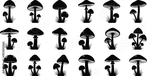 WebMushroom silhouette collection, black forest fungi icons, vintage botanical clipart set, isolated toadstool illustrations, nature graphic bundle, monochrome