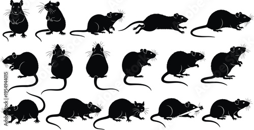 Rat silhouette collection, black rodent set, mouse and rat poses, isolated animal clipart, pest vector illustration, monochrome design